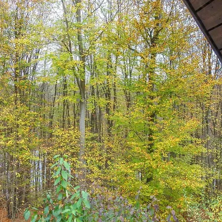 In Bad Arolsen With Wifi *